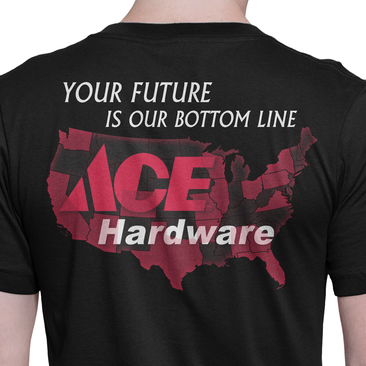 0030-ACE-back-ALT-2 copy