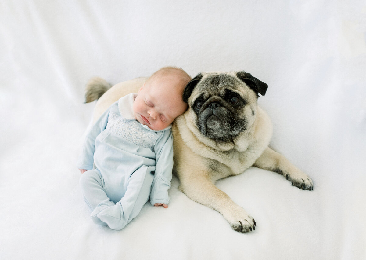 newborn portrait with dog