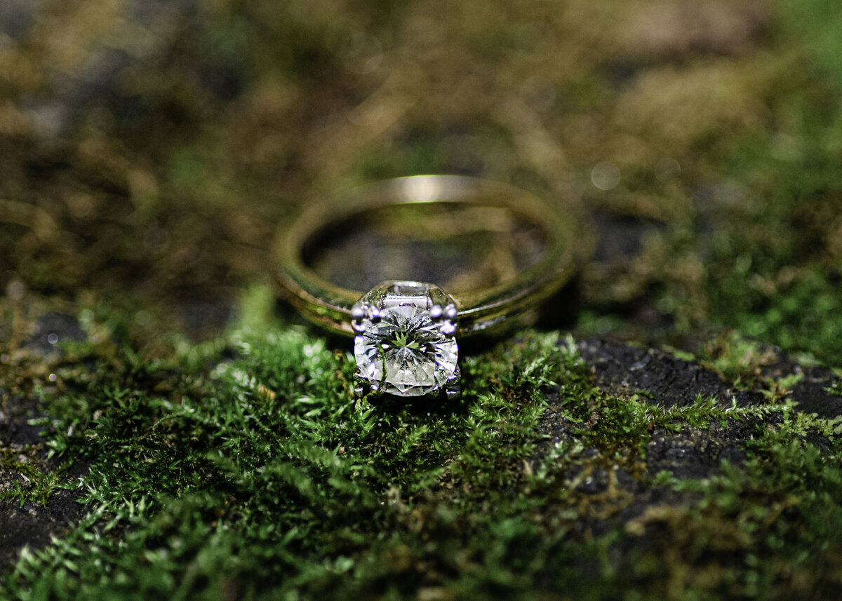 Kayla-Tim-Engagement-Great-Hollow193-Edit