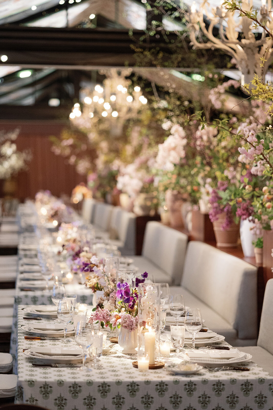 Maggie and Danny Previews - NPP0049