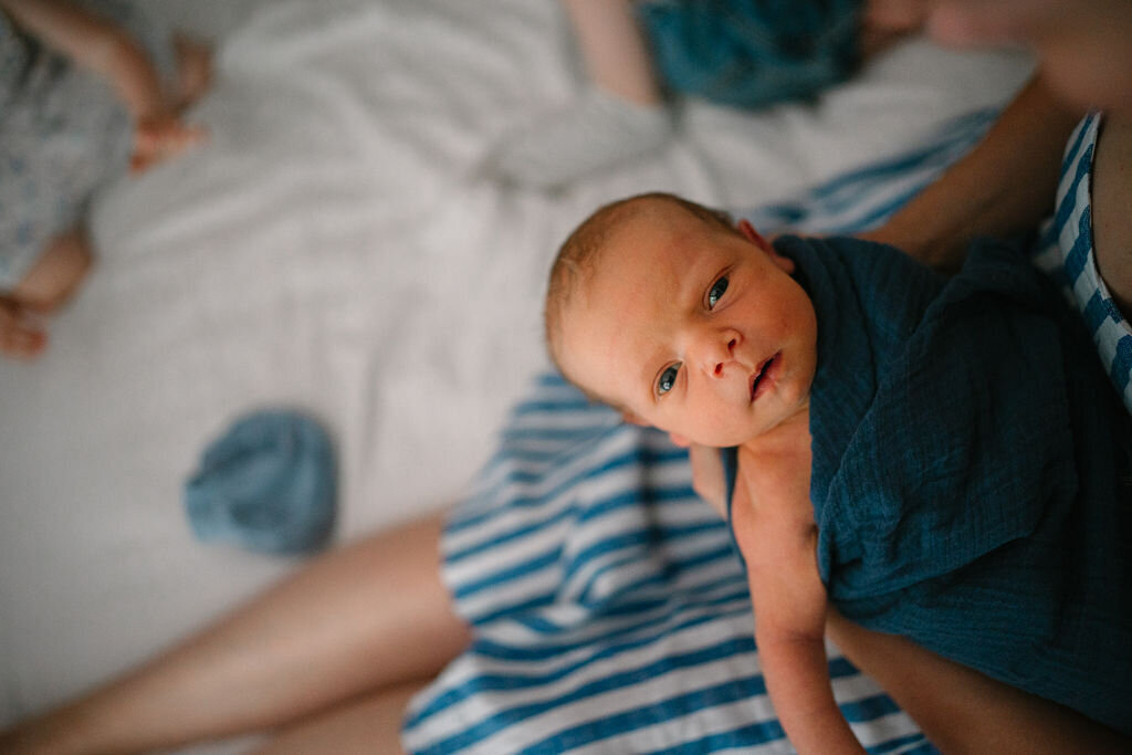 A newborn wrapped up in a teal blanket