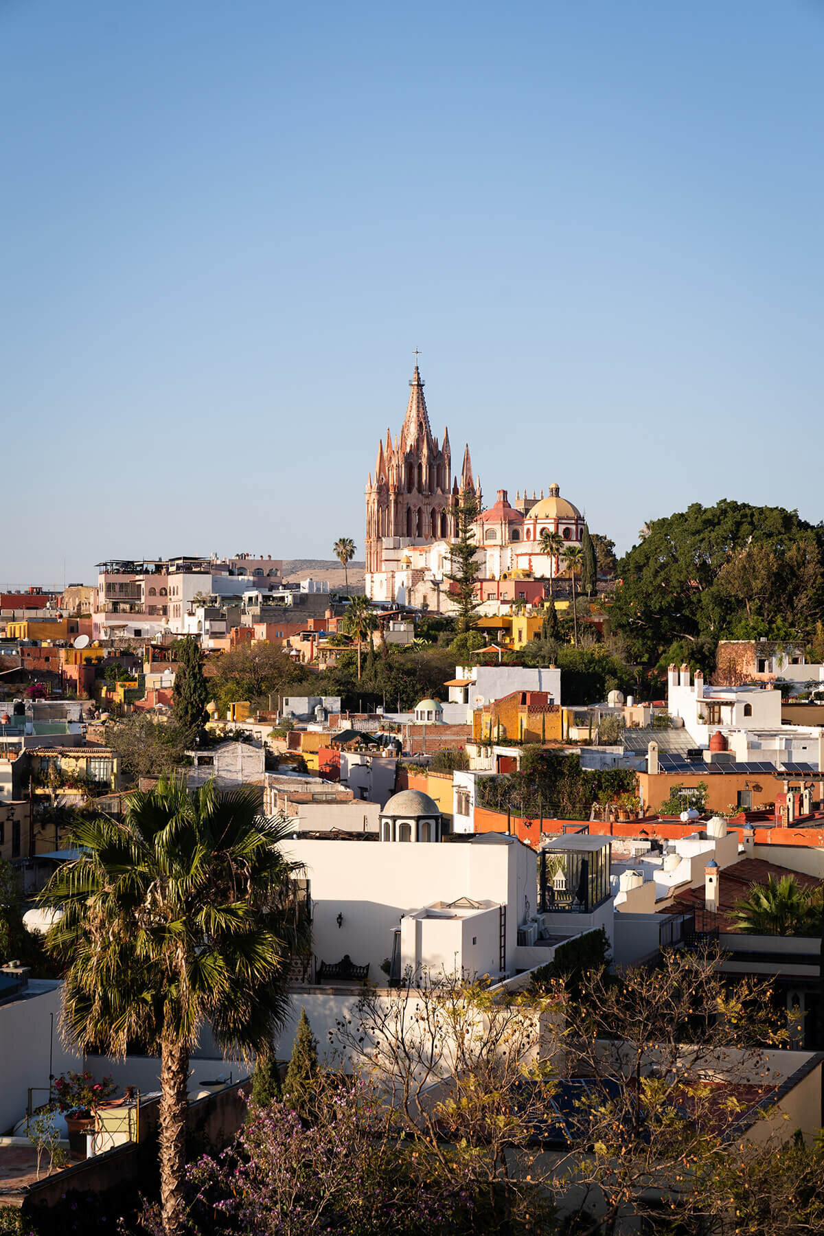 Be-Sage-San-Miguel-de-Allende-conference-wedding-events-industry-fig-2-design-tracy-autem-1