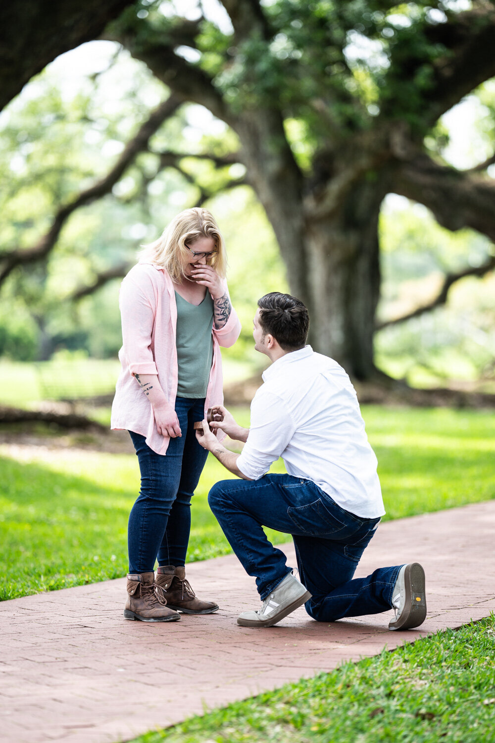 Marriage proposal at Oak Alley Plantation