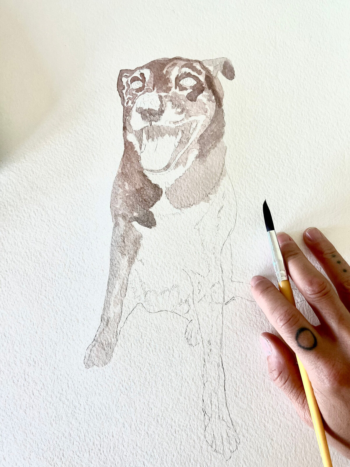 CCC_Stella_WIP 2