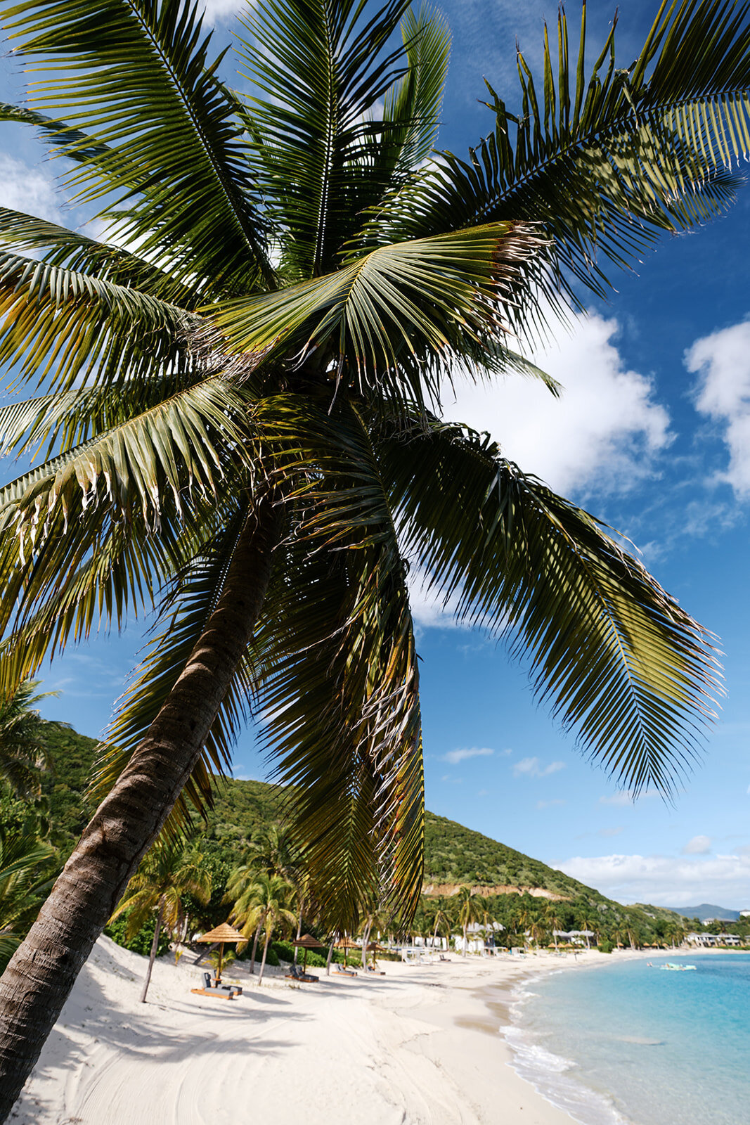 Peter Island-440
