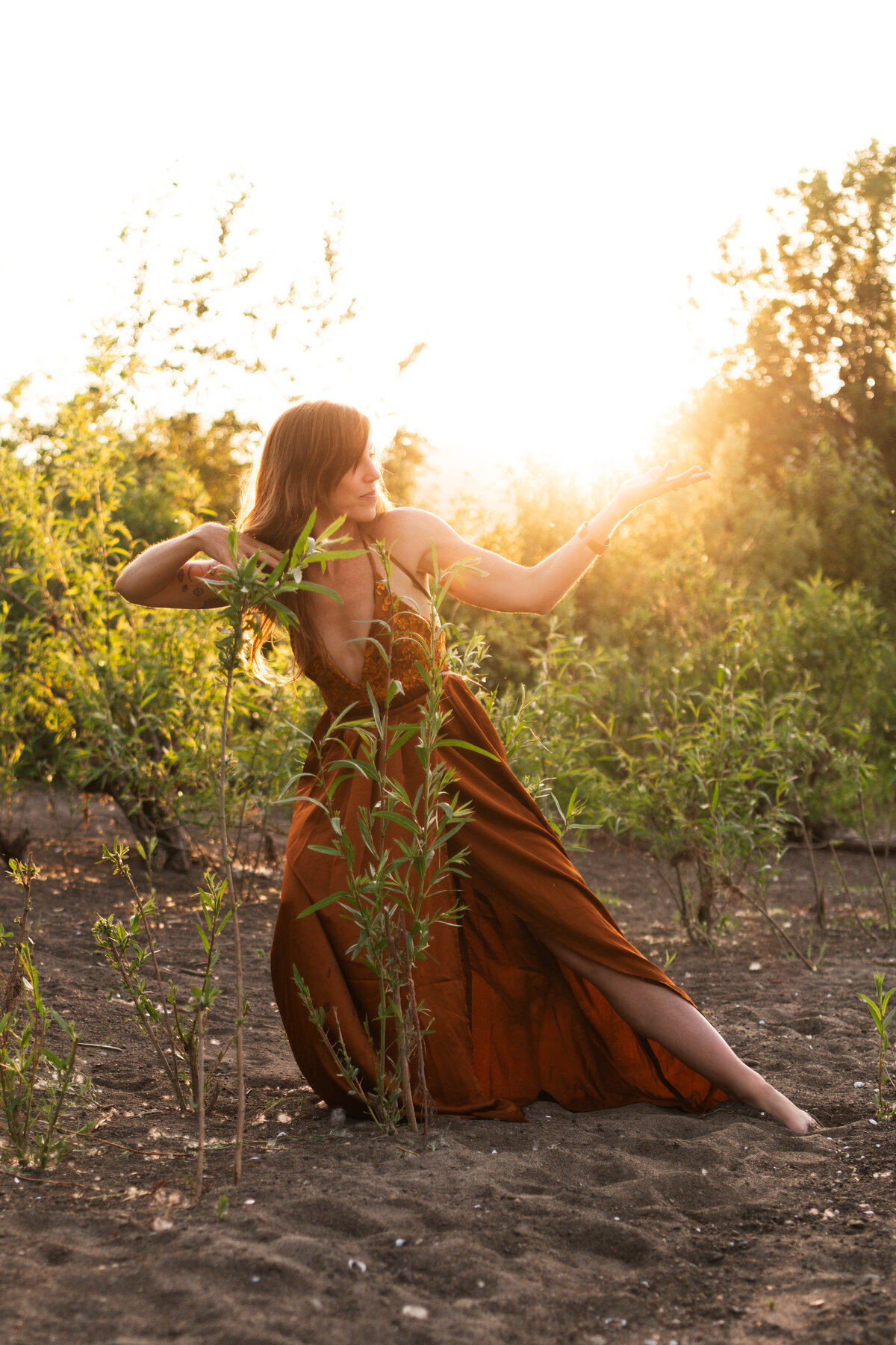 mentor, healer, guide in green field with sunburst behind her