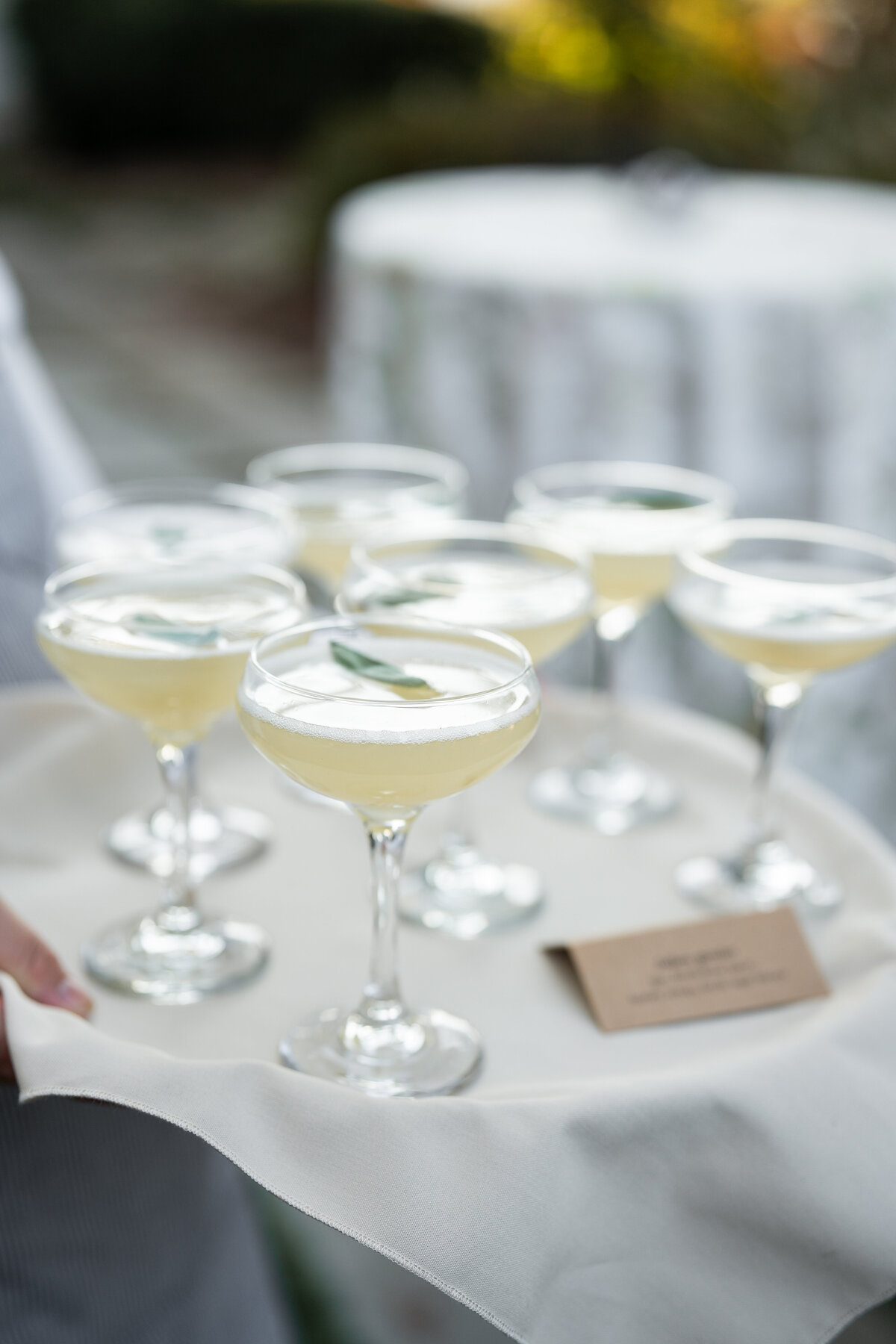 Virginia Wedding Photographer Hannah Malloy-73