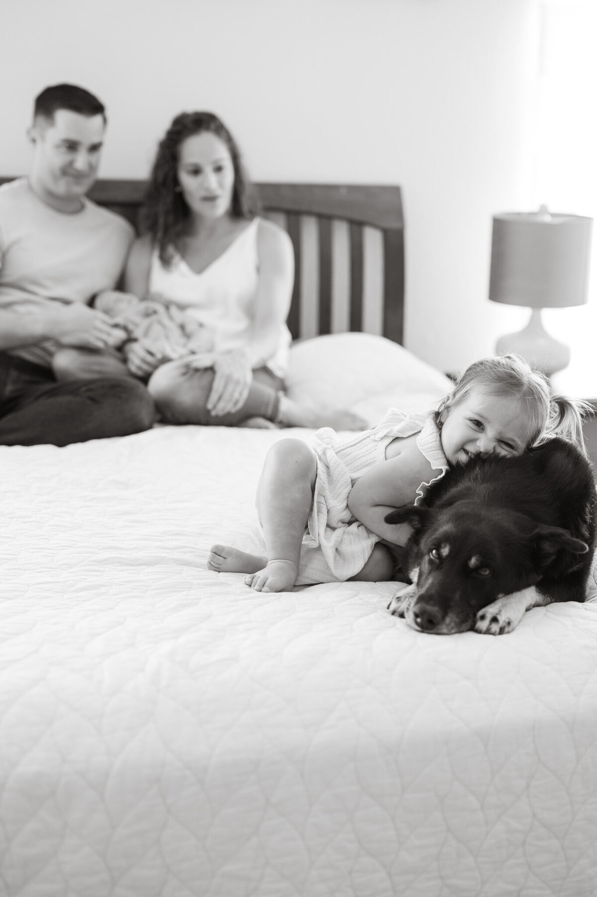 B&W newborn photography image of a toddler snuggling the unimpressed family dog while mom, dad and baby look on in the background.