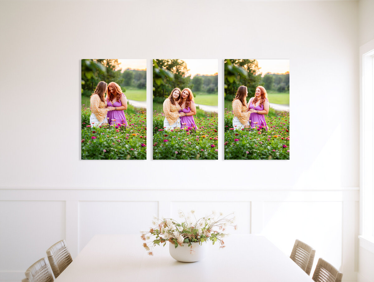 friends Dining Room - Soft