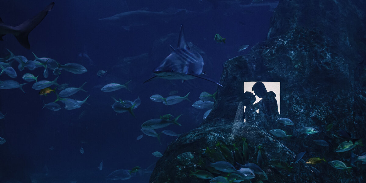 Wedding photo taken at Adventure Aquarium highlighting the sharks and underwater backgrounds for bride and groom
