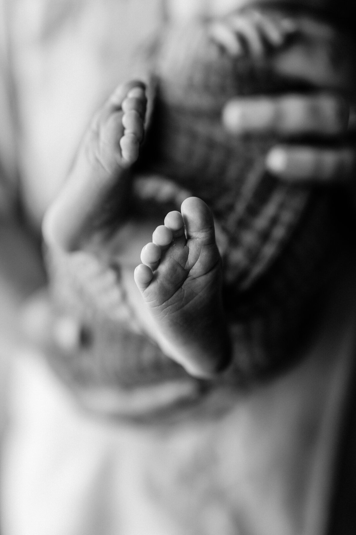 Madelyne-Dawson-Photography-Boynton-Beach-FL-Family-Photographer-Gus-Newborn-Final-36