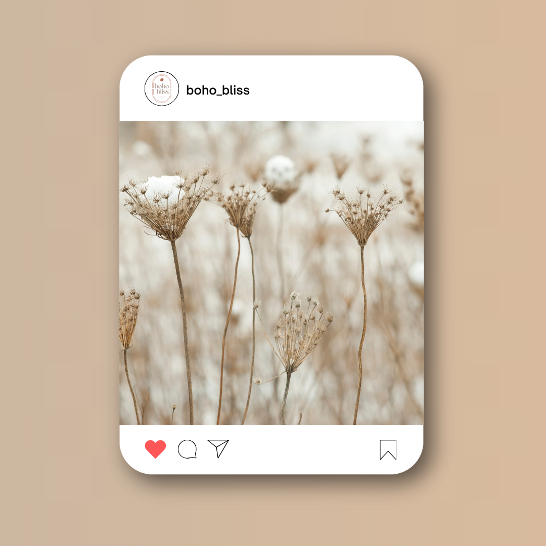 boho_bliss