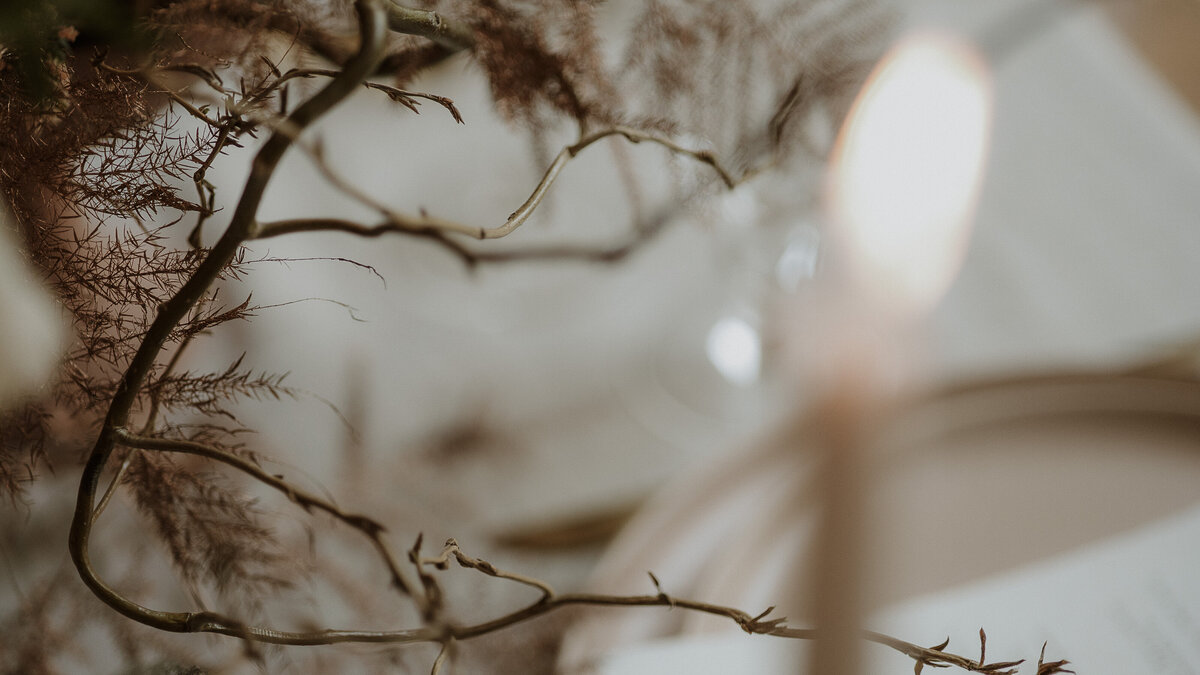 WEBSITE-ottawa-toronto-pec-montreal-nyc-art-lifestyle-cinematic-storytelling-couple-engagement-photographer-4570