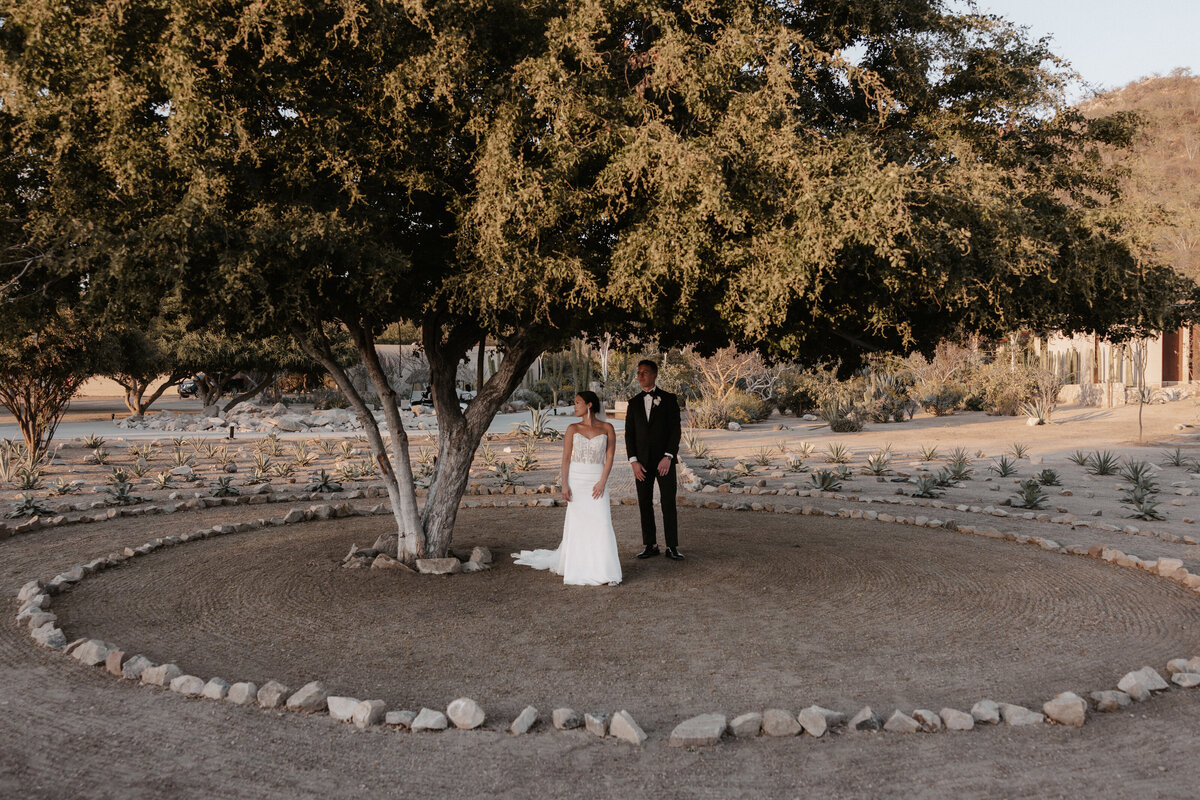 Cabo-Wedding-Planners-365