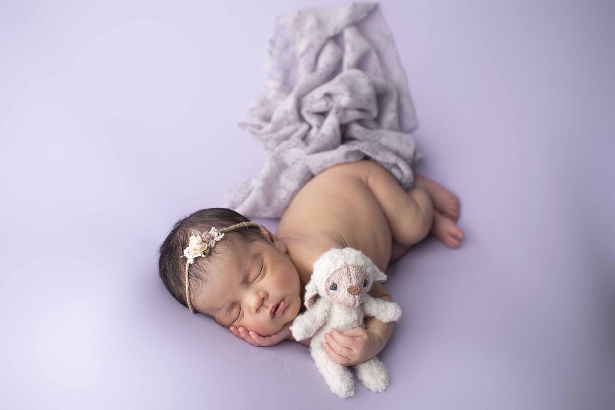 Purple Blanket newborn with Lamb