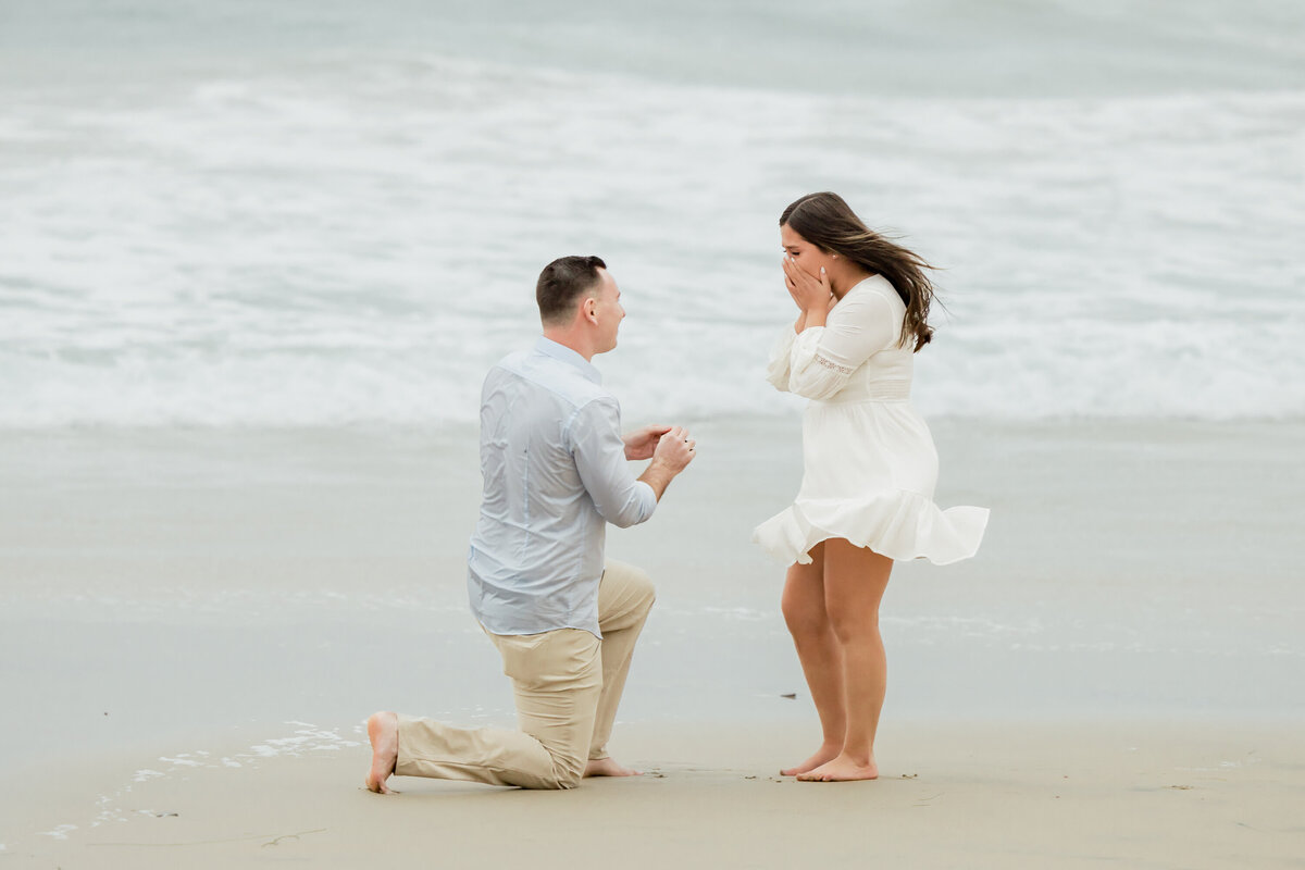 Crystal Cove Proposal