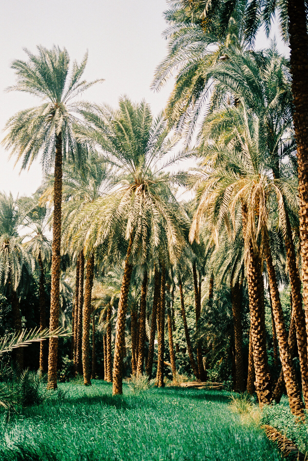 egypt-travel-094