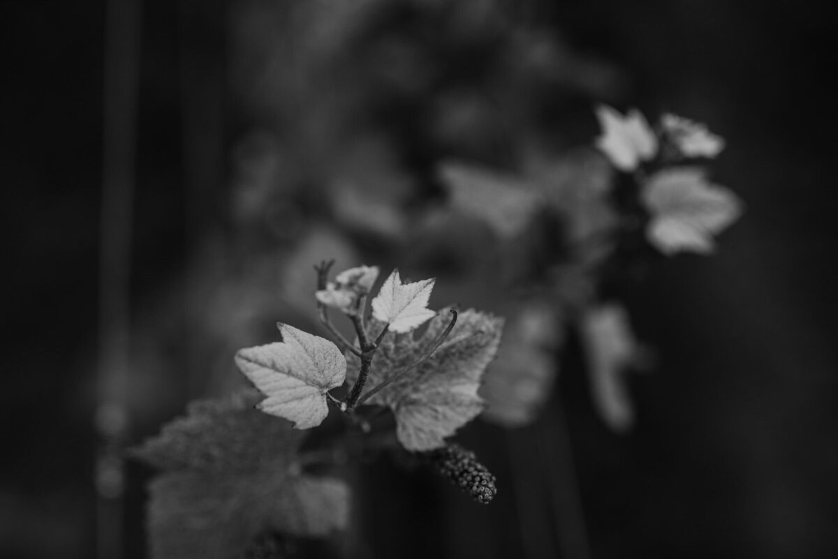 windows-estate-yallingup-margaret-river-freedom-garvey-photographer-015