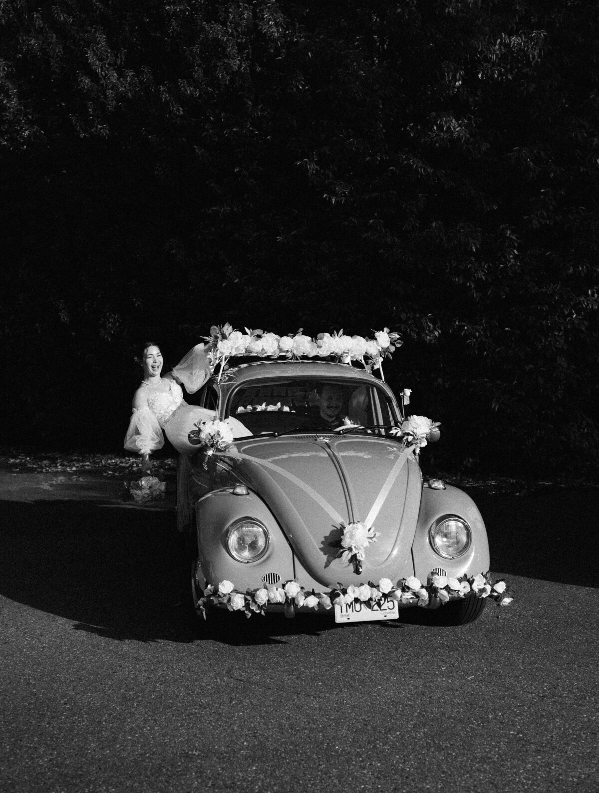 Abbotsford Wedding Photographer