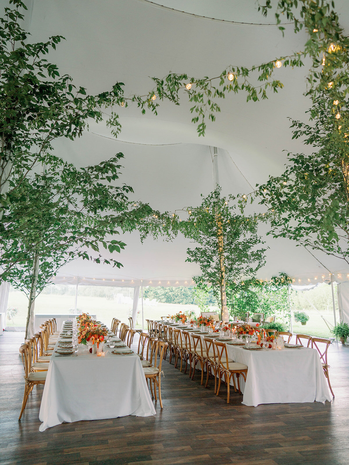Monika & Calum-Liz Andolina Photography-1131