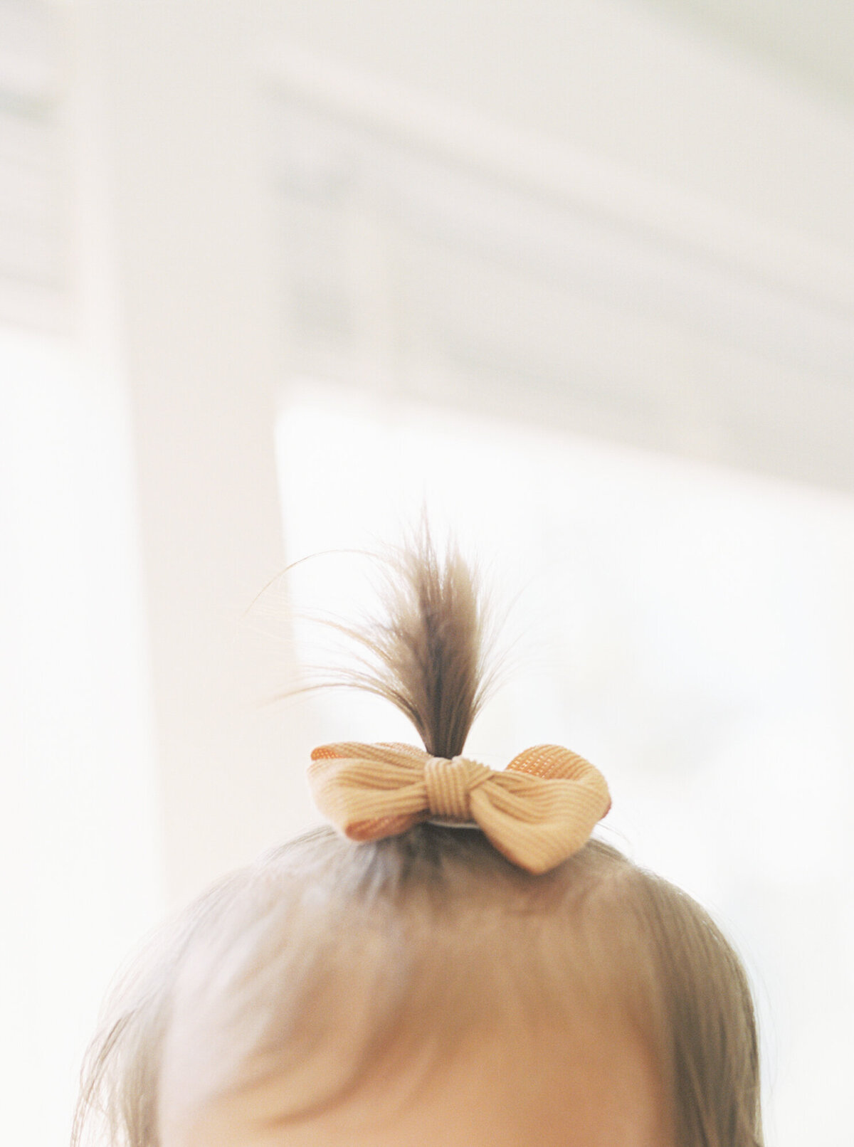 raleigh family photographer20