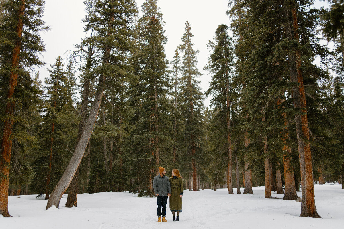 A couple holds hands and walks through a large forest during their engagement photos in Denver, Colorado.