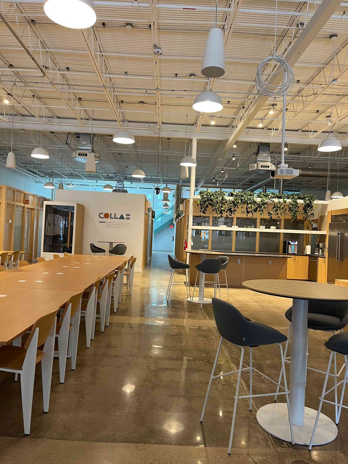 Eco-friendly and sustainable commercial concrete polishing services, providing durable and low-maintenance flooring solutions for businesses.