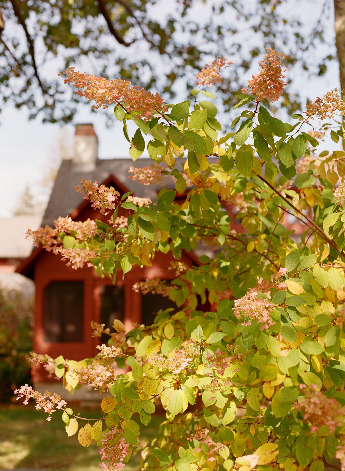 Winvian-Farm-Litchfield-CT-0001