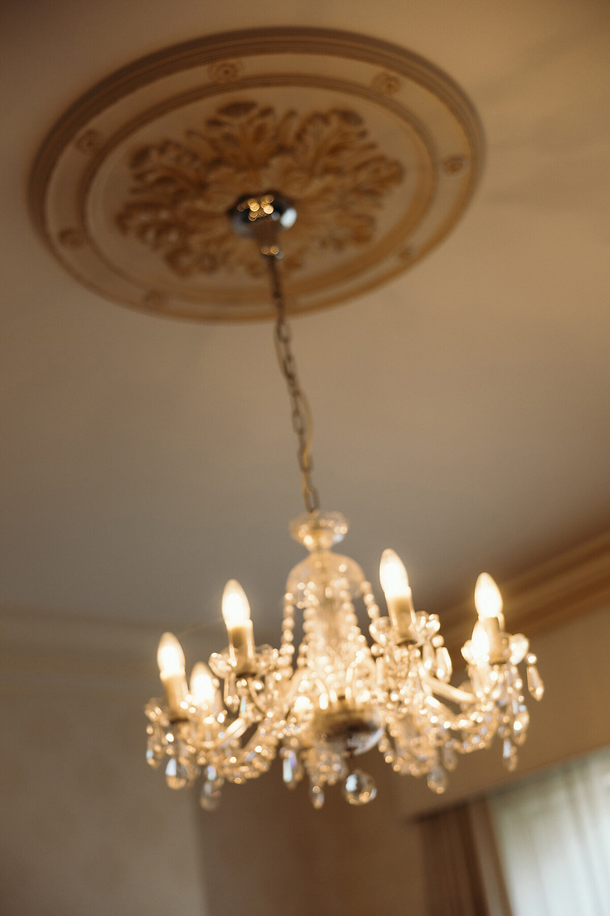 josieleephotography_thewindsorhotelwedding_15