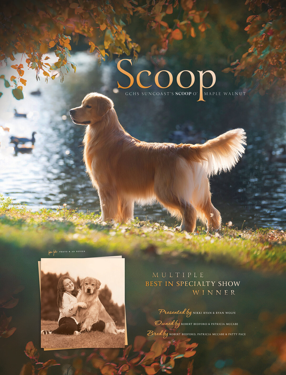 Scoop - September 2024 Final