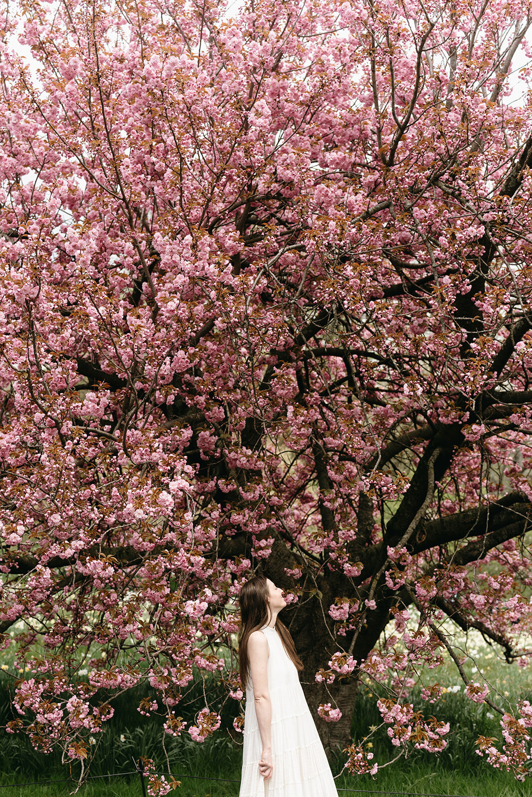 STILLS-Summer_NY-Bronx- Botanical Garden-Leandra Creative Co.Photography-38_websize
