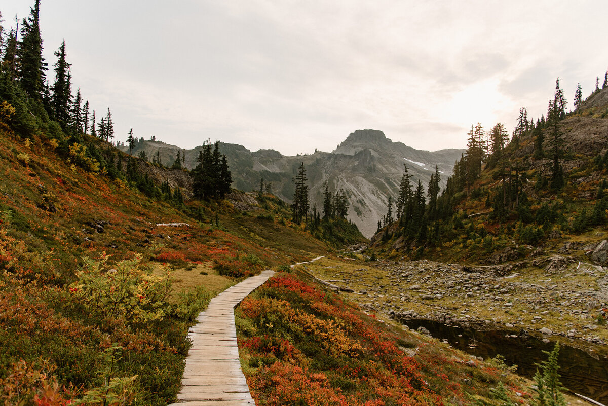 heather_meadows_artist_point_mount_baker_washington_1
