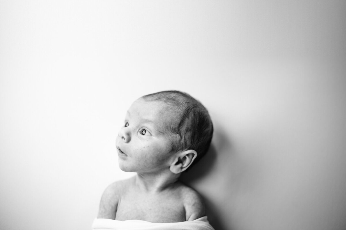 newborn photography NW Arkansas, best newborn portraits NW Arkansas