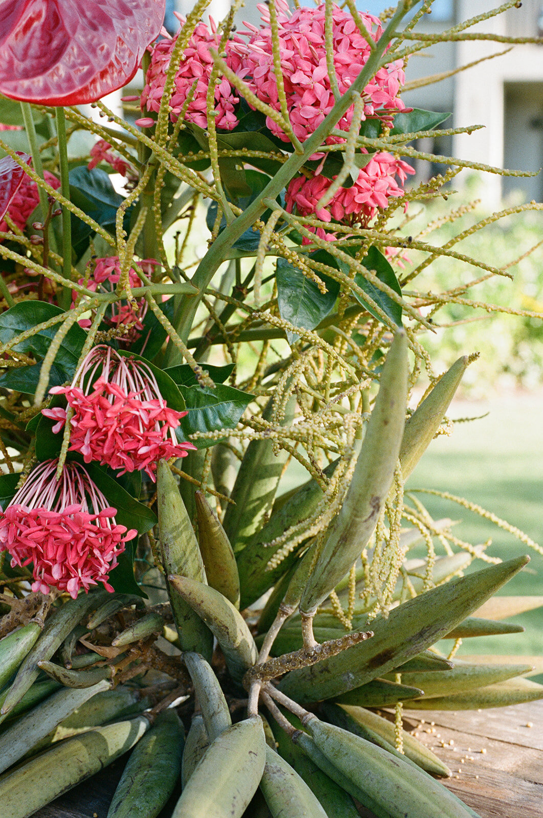Vivienne_Patrick_Turtle_Bay_Wedding_SBerard_Photography-58
