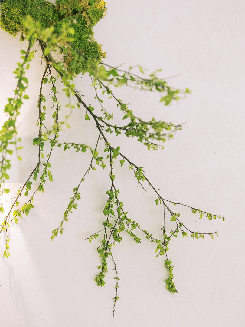 indianapolis wedding florist brand session-38