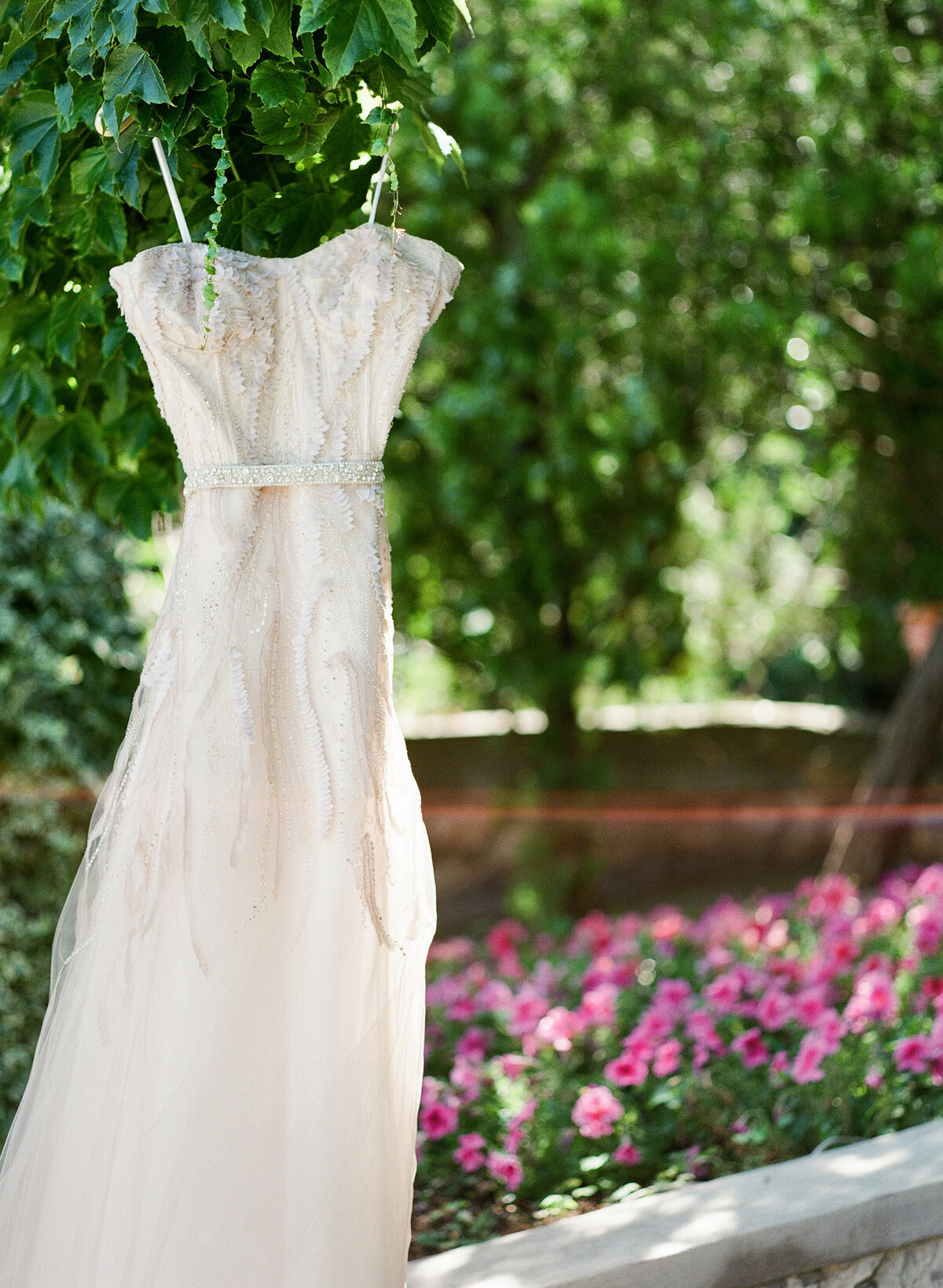 Taryn + Brendan Film Scans 005