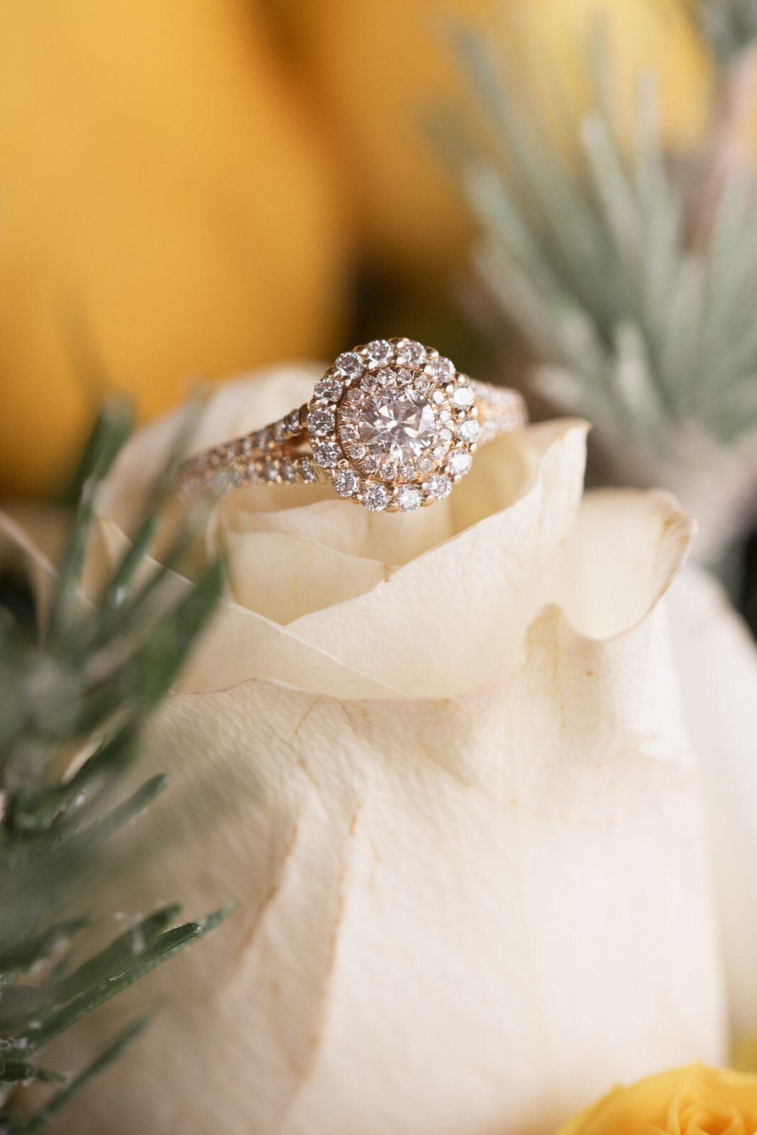 Milwaukee based photographer, Milwaukee wedding photographer, wisconsin wedding photographer, wisconsin weddings, Milwaukee photographer, St. James 1968, Lake country photography, Meredith Mutza Photography, Legends of Brandybrook, Paine Art Center