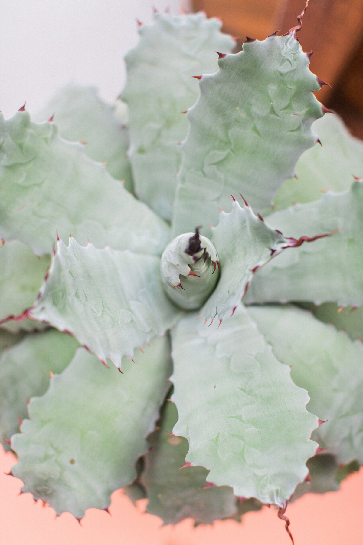 E + N Welcome Party0005