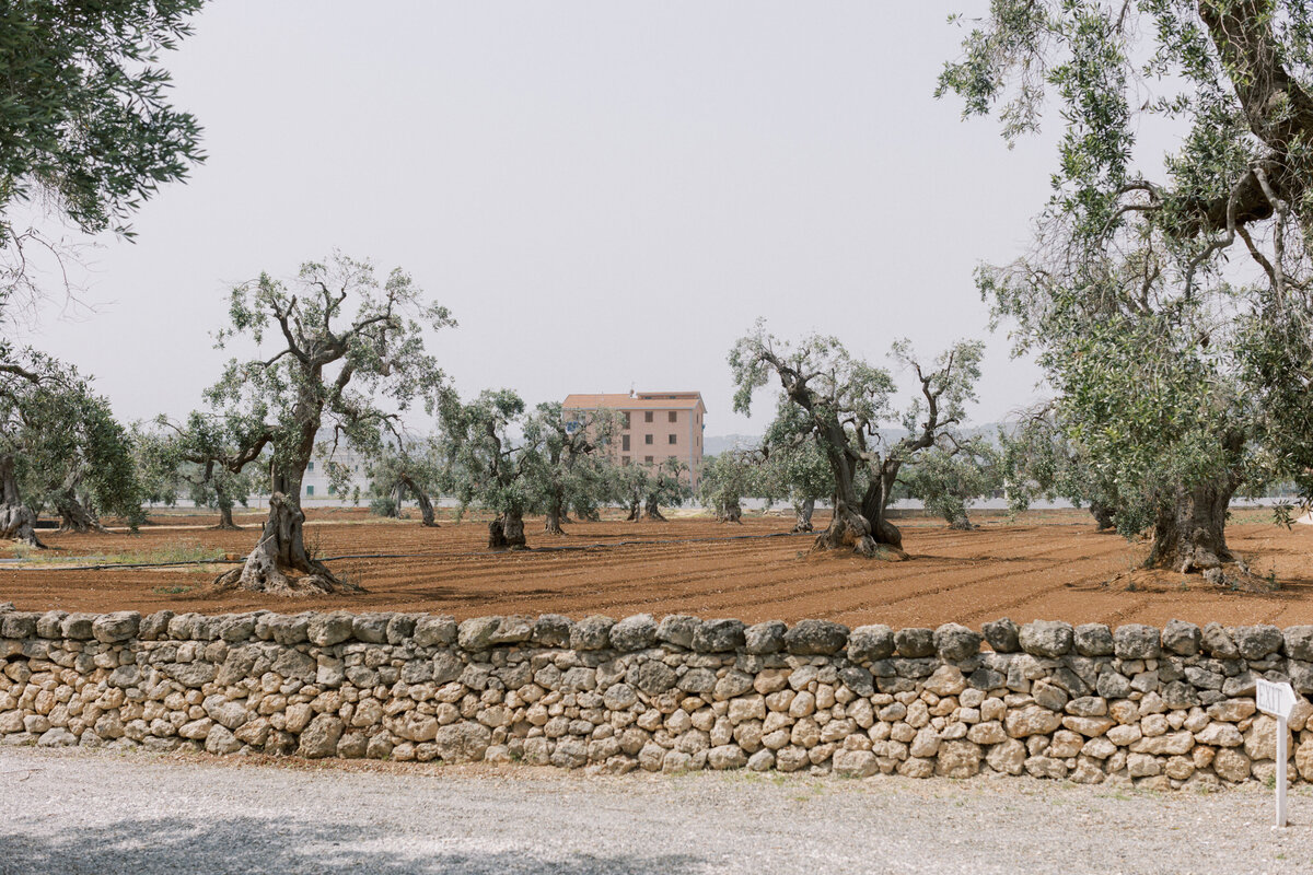 italian-wedding-puglia-olive-and-oath76
