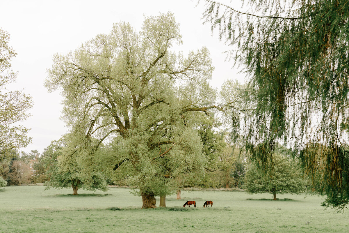 iscoyd-park-wedding-photos-grace-chris-1