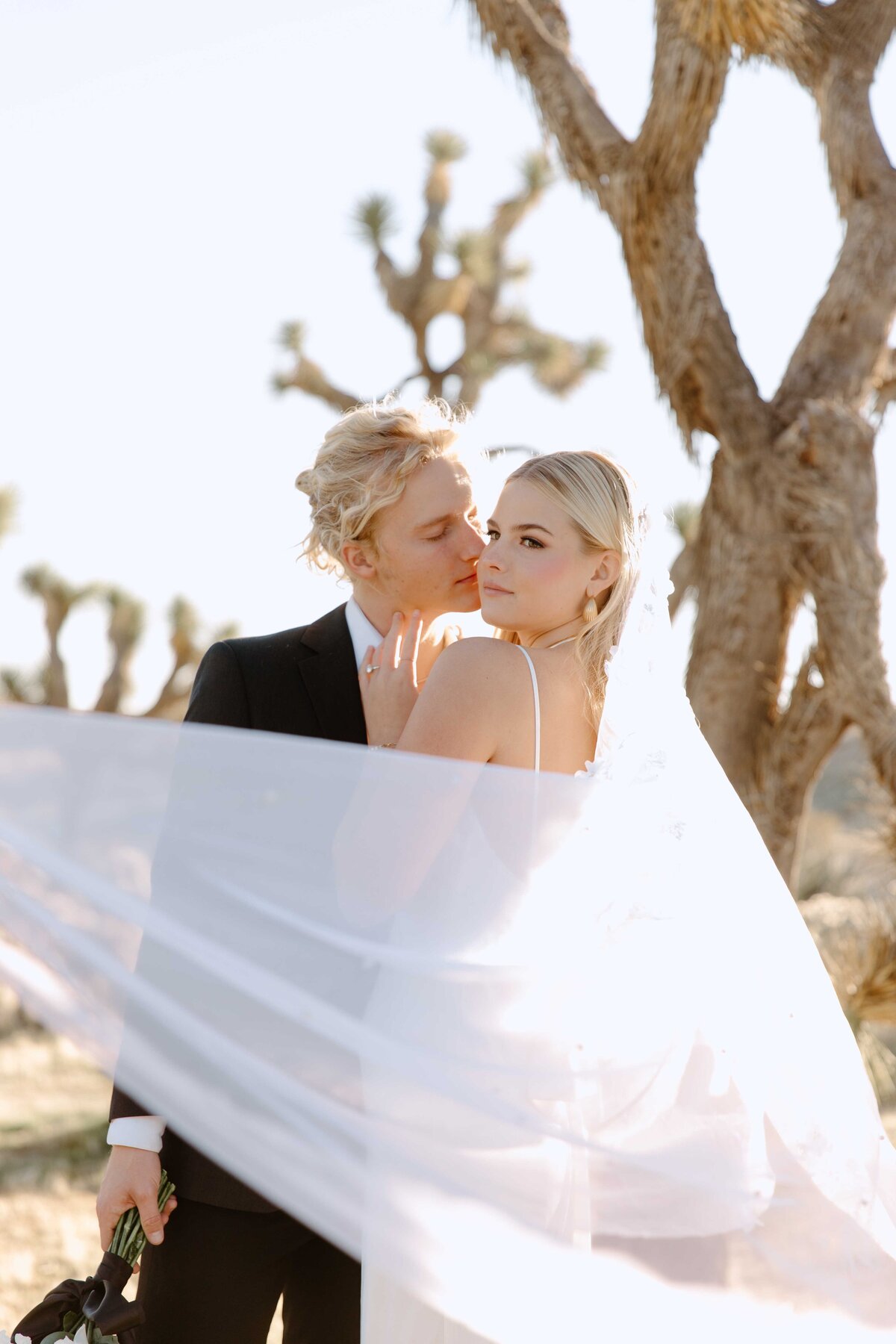 Elegant-Joshua-Tree-Elopement_0730