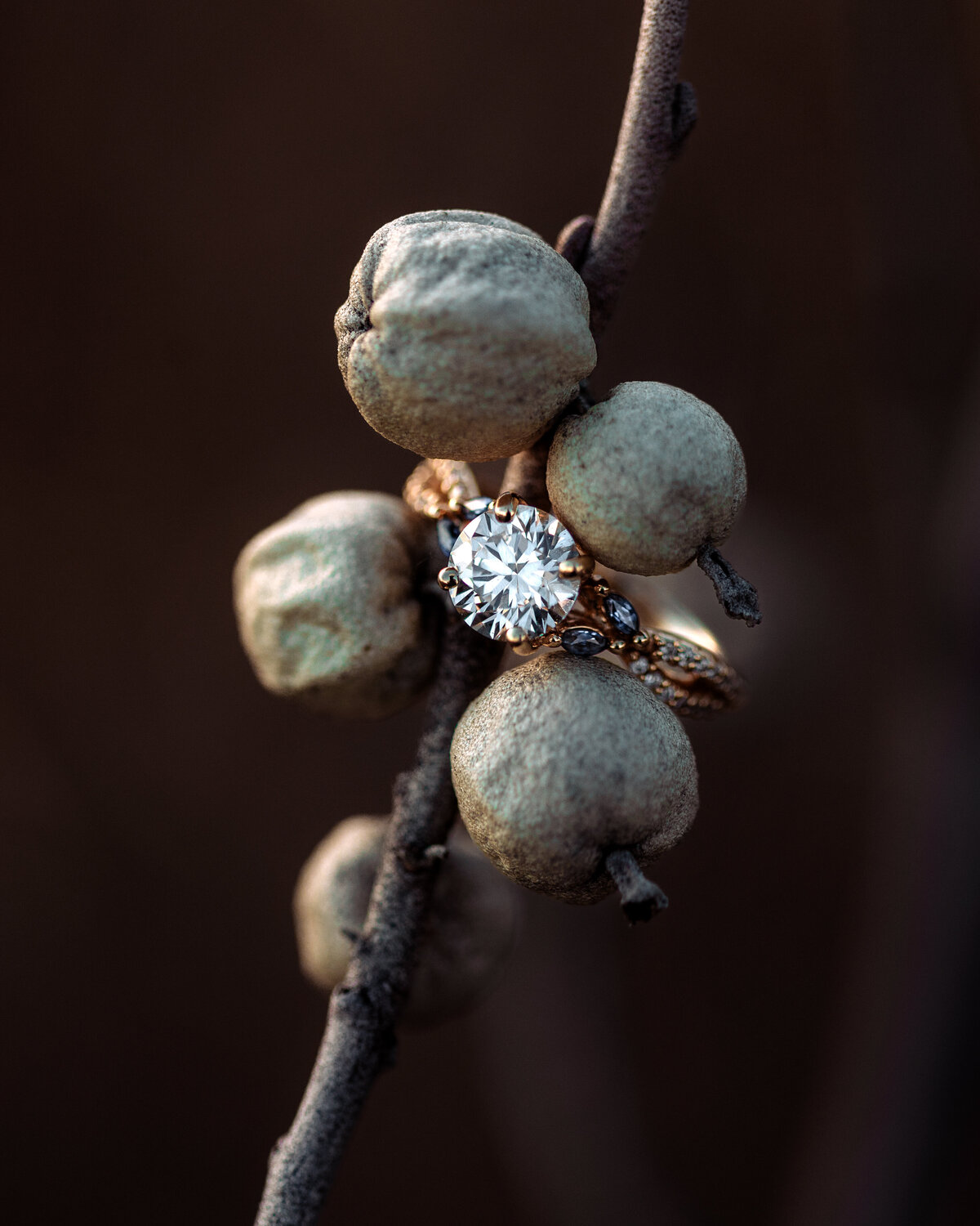 macro-engagement-ring-shot