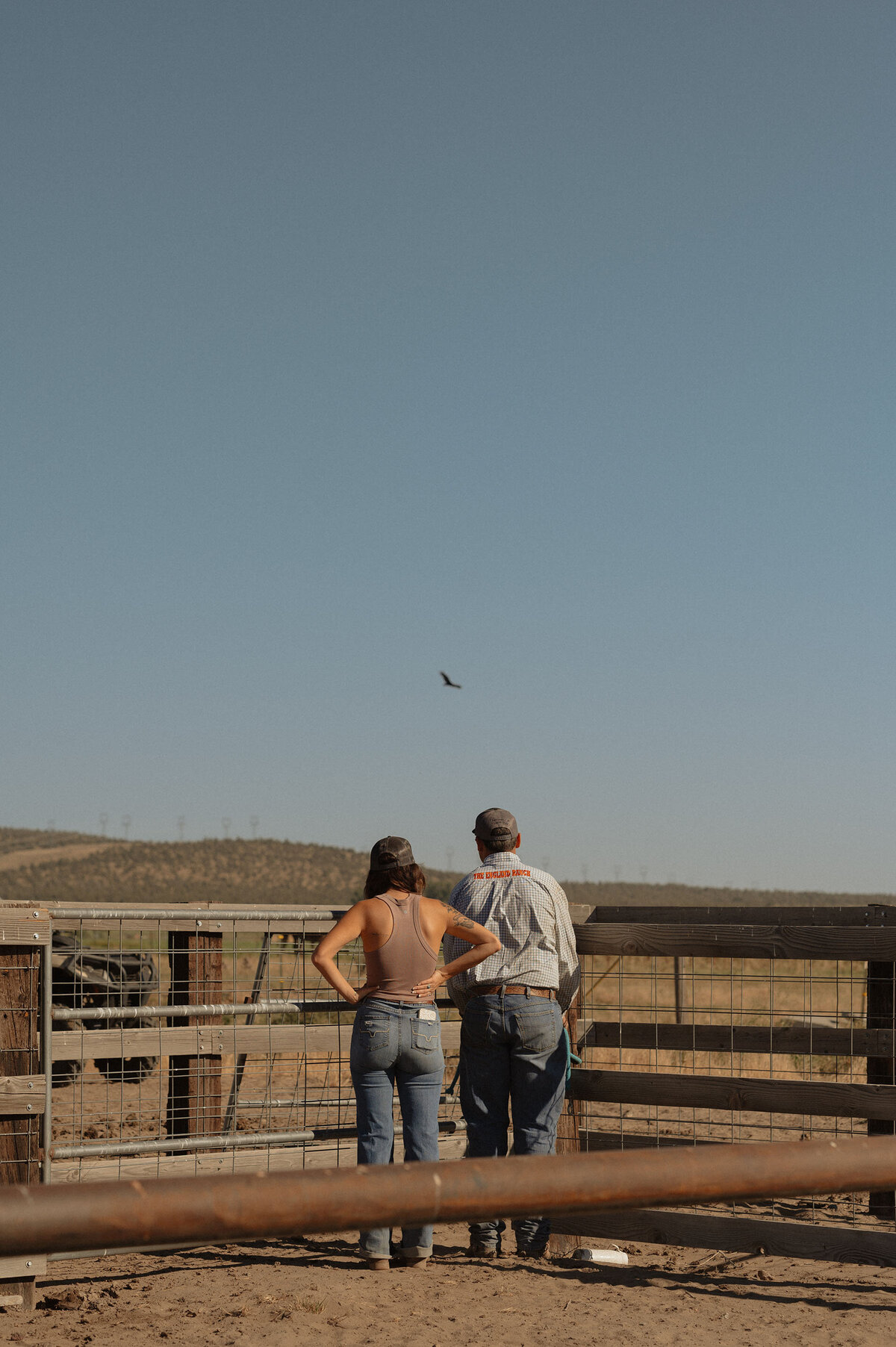 man and woman at their ranch standing in the sun while looking at a bird flying by