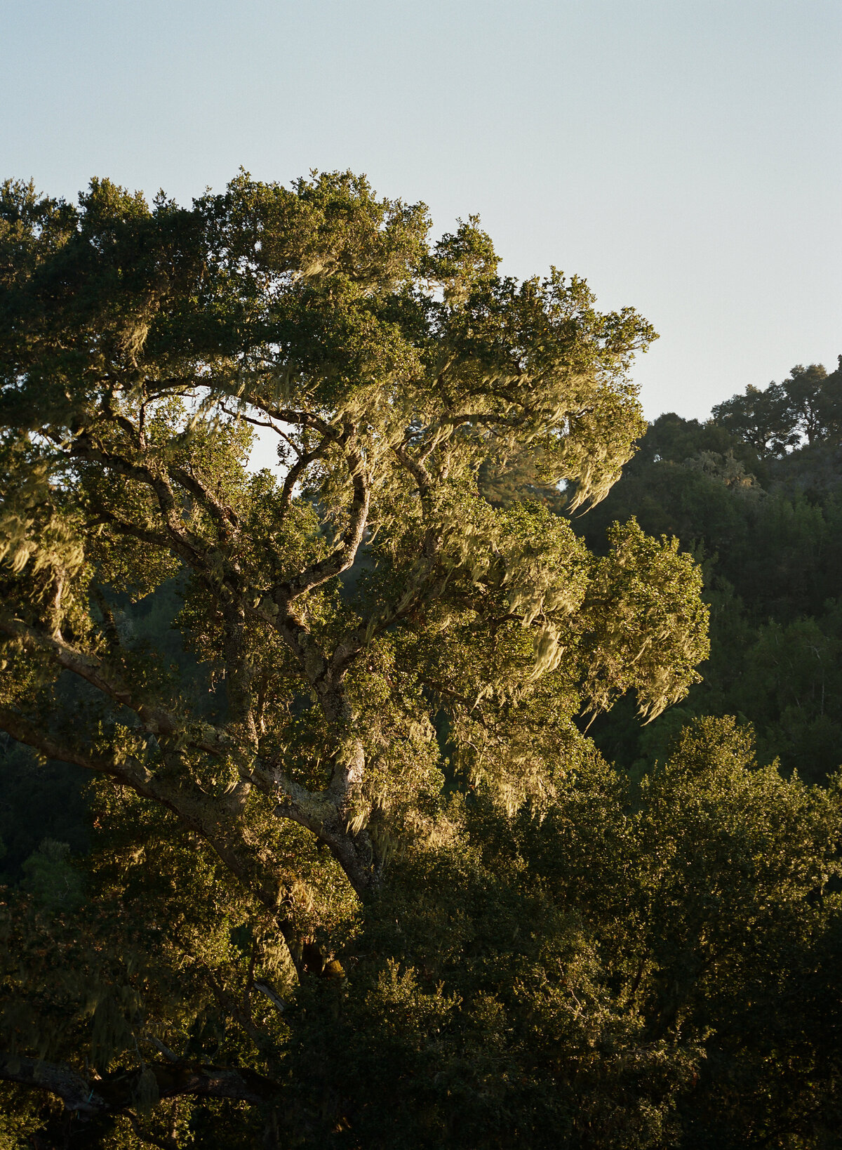 DT-2025-Kelcie&StevenPreview-164