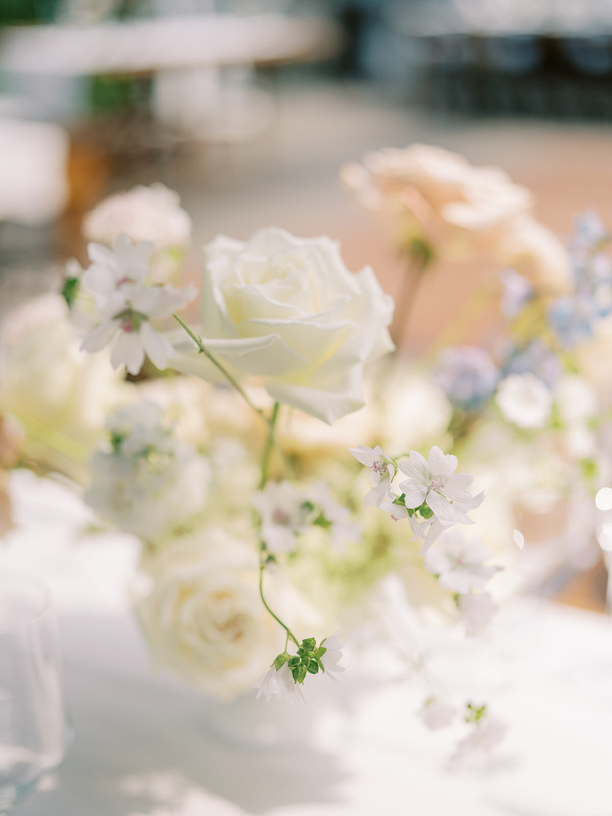 Beautiful flowers