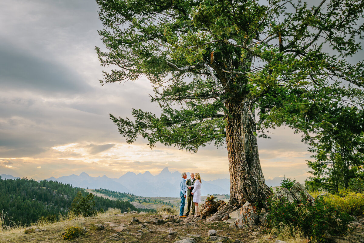 Wedding Tree evening elopement with Hamish Tear officiant and car from Jackson Hole Wyoming