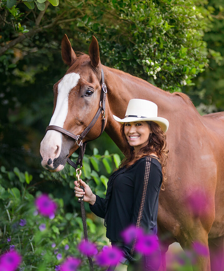 dutch warmblood horse portrait