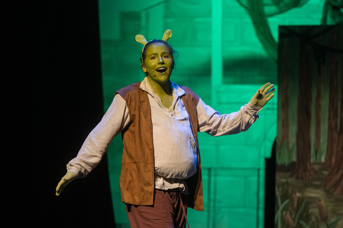 Linnea_Farnsworth_Photography_Washington_DC_Northern_Virginia_Musical_Stage_Photography_1