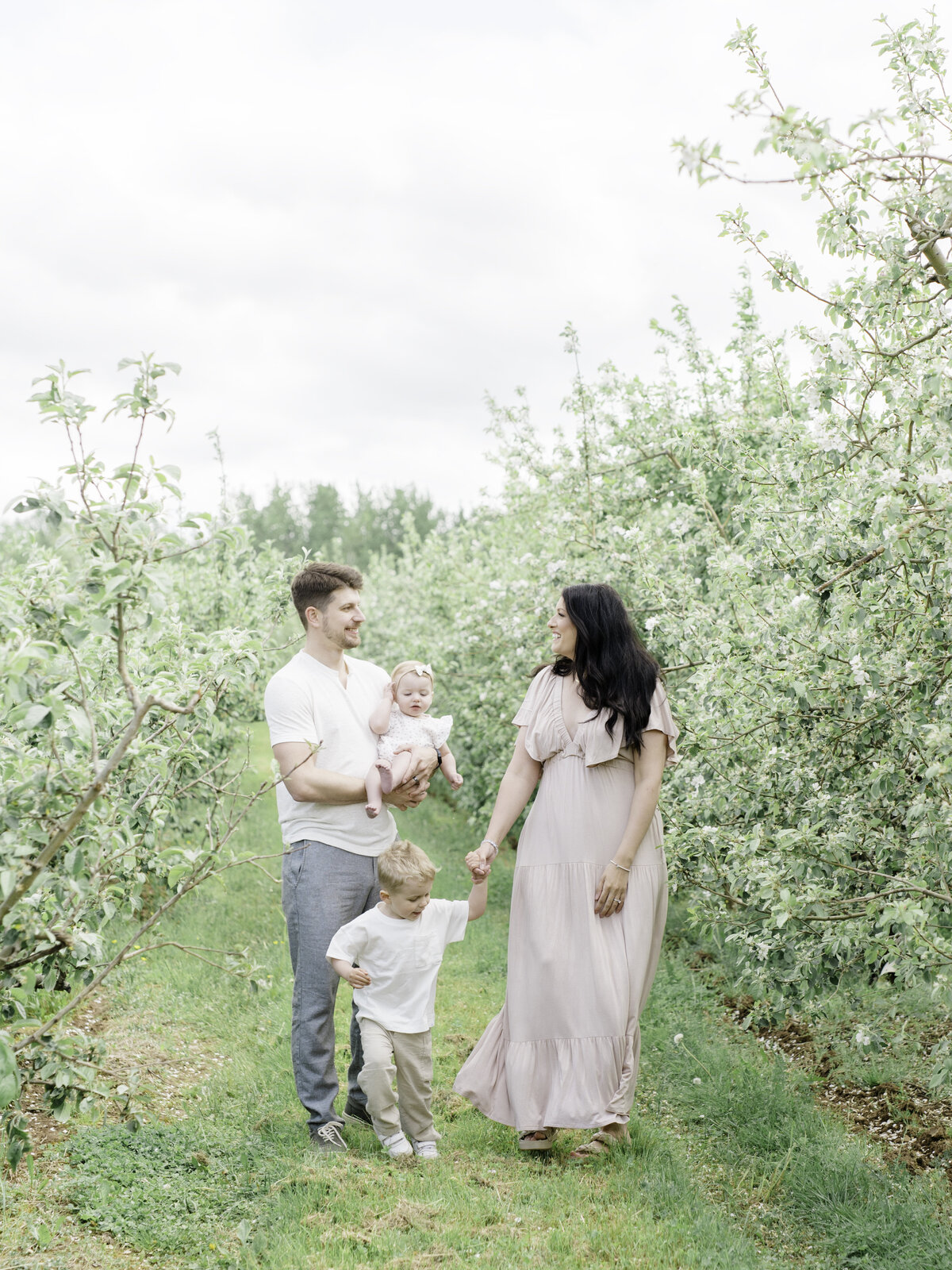 appleblossoms1
