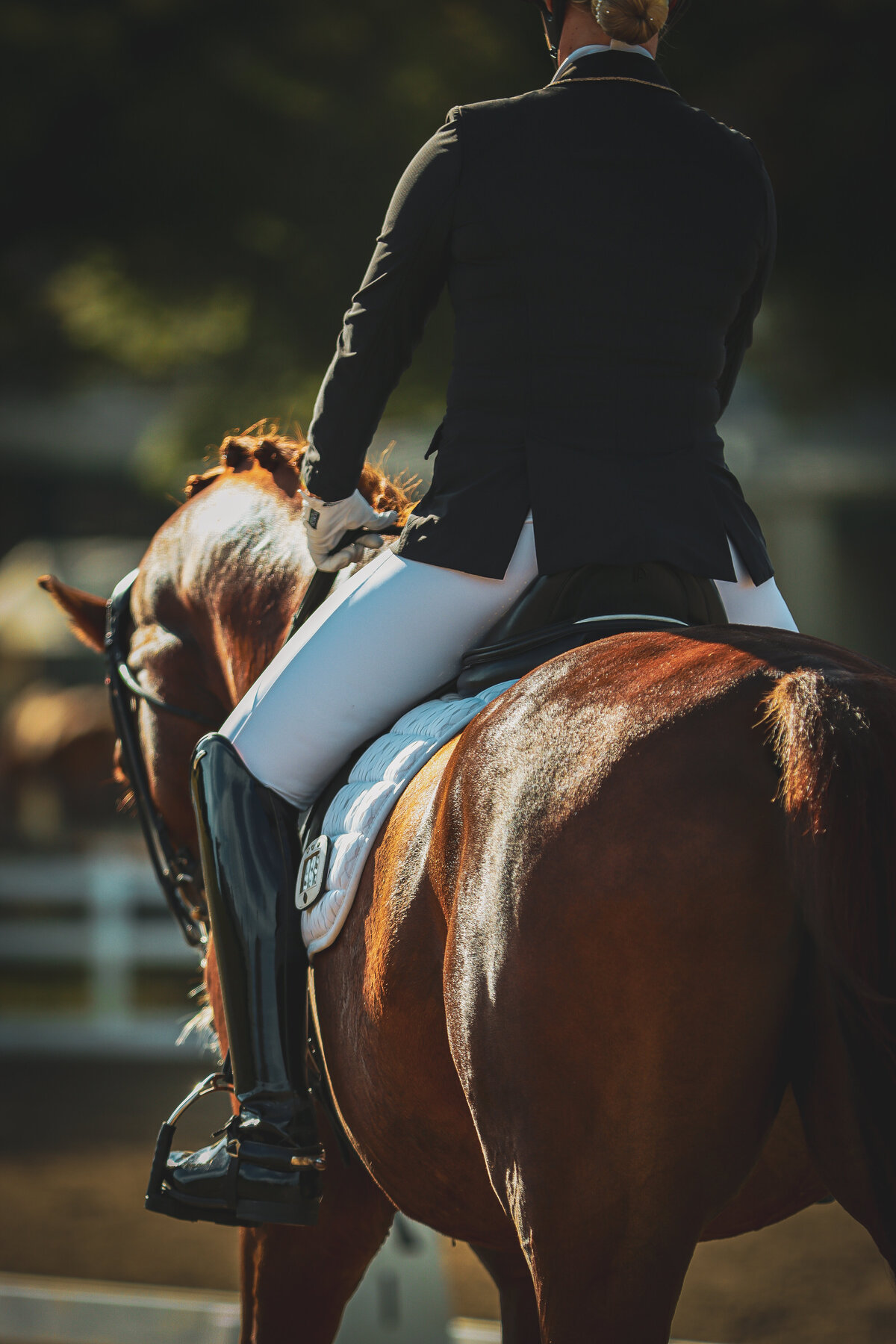 An artistic shot from behind of a dressage horse and rider walking away from the camera at GIHP in Conyers, GA.